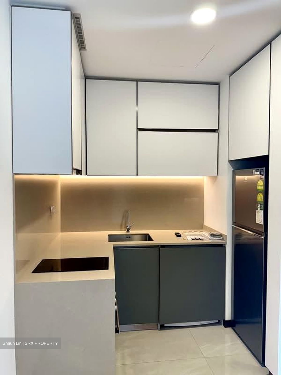 Normanton Park (D5), Apartment #546168911